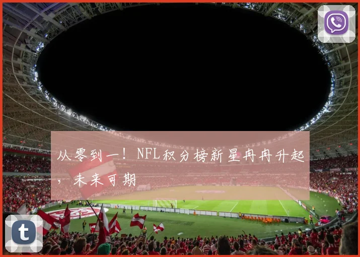 从零到一！NFL积分榜新星冉冉升起，未来可期