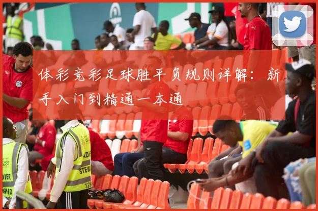 体彩竞彩足球胜平负规则详解:新手入门到精通一本通